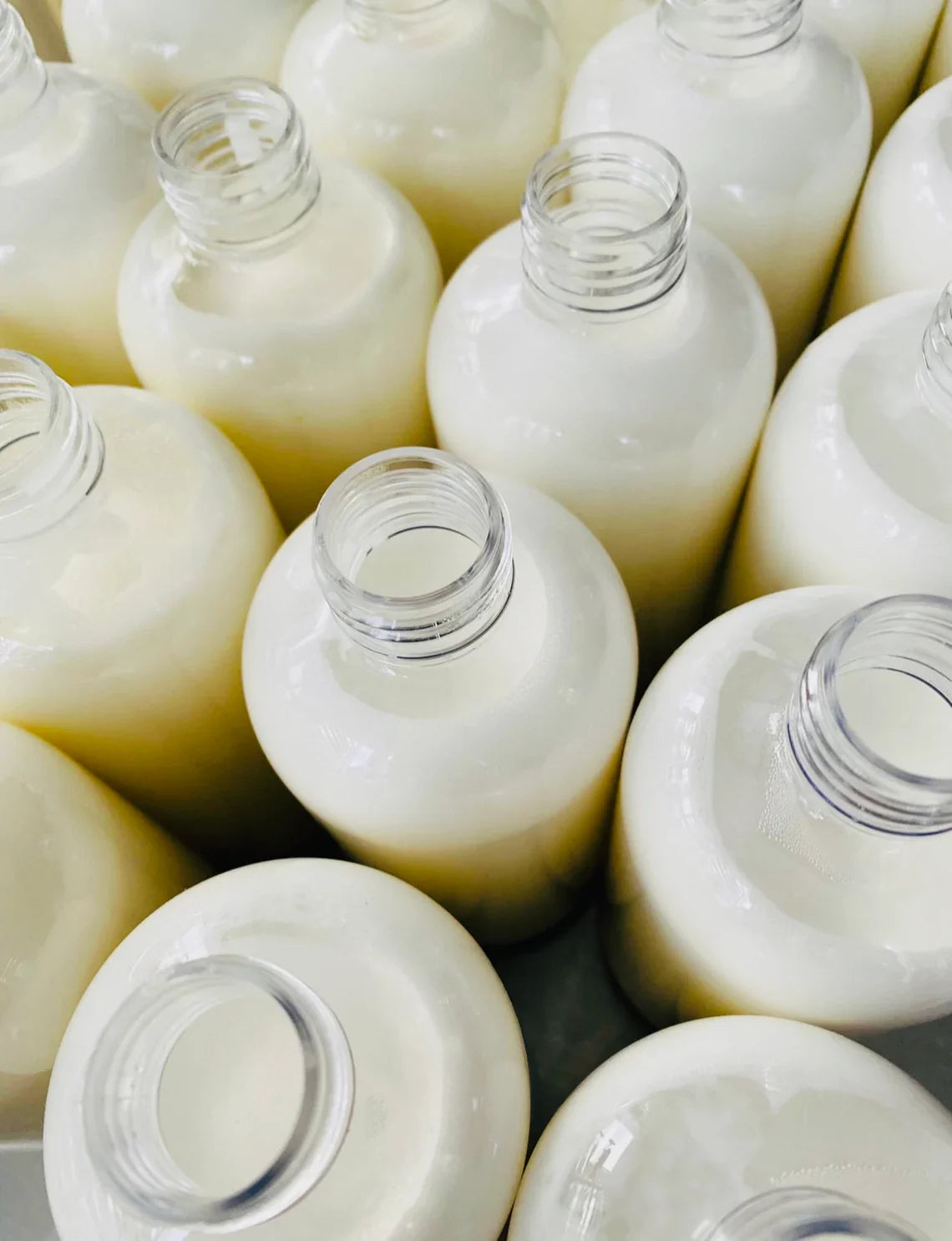 Cashmere - Shea Butter and Aloe Body Lotion