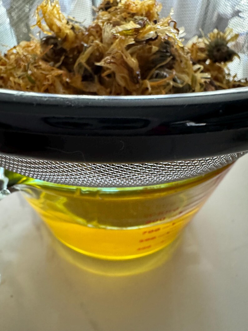 Calendula Healing Salve: Olive Oil Infusion (2oz)